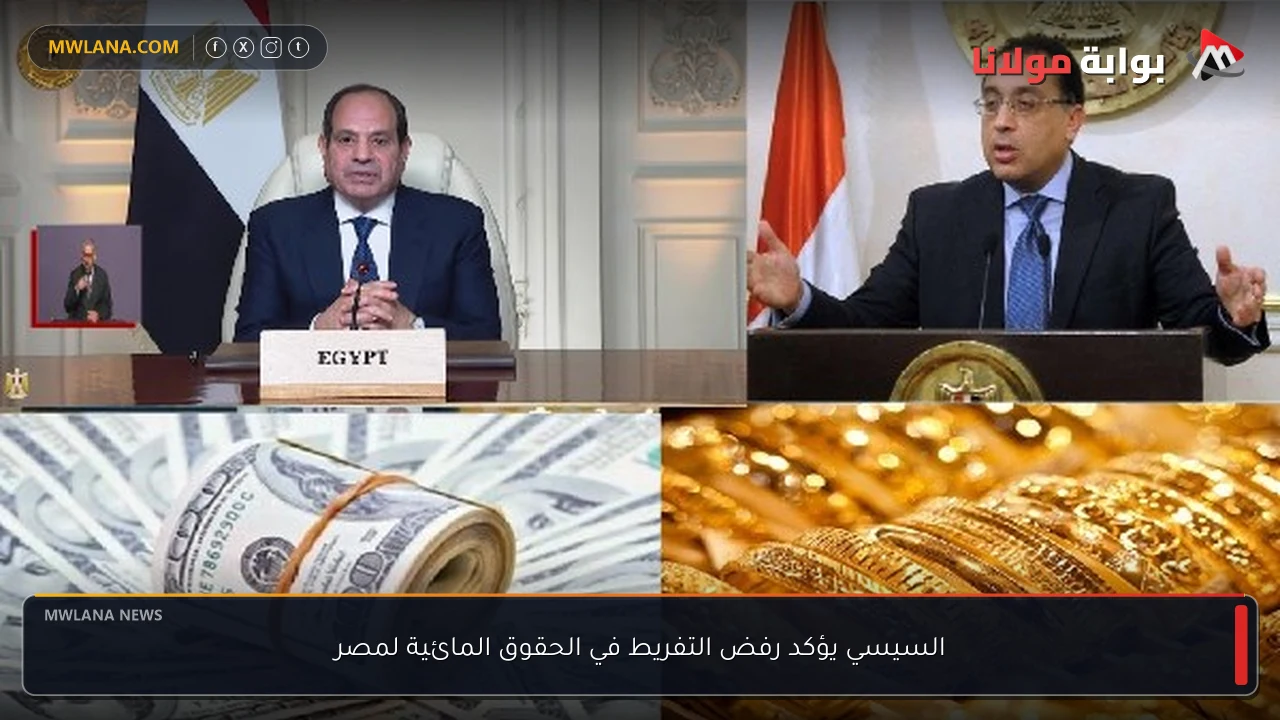 السيسي يؤكد رفض التفريط في الحقوق المائية لمصر