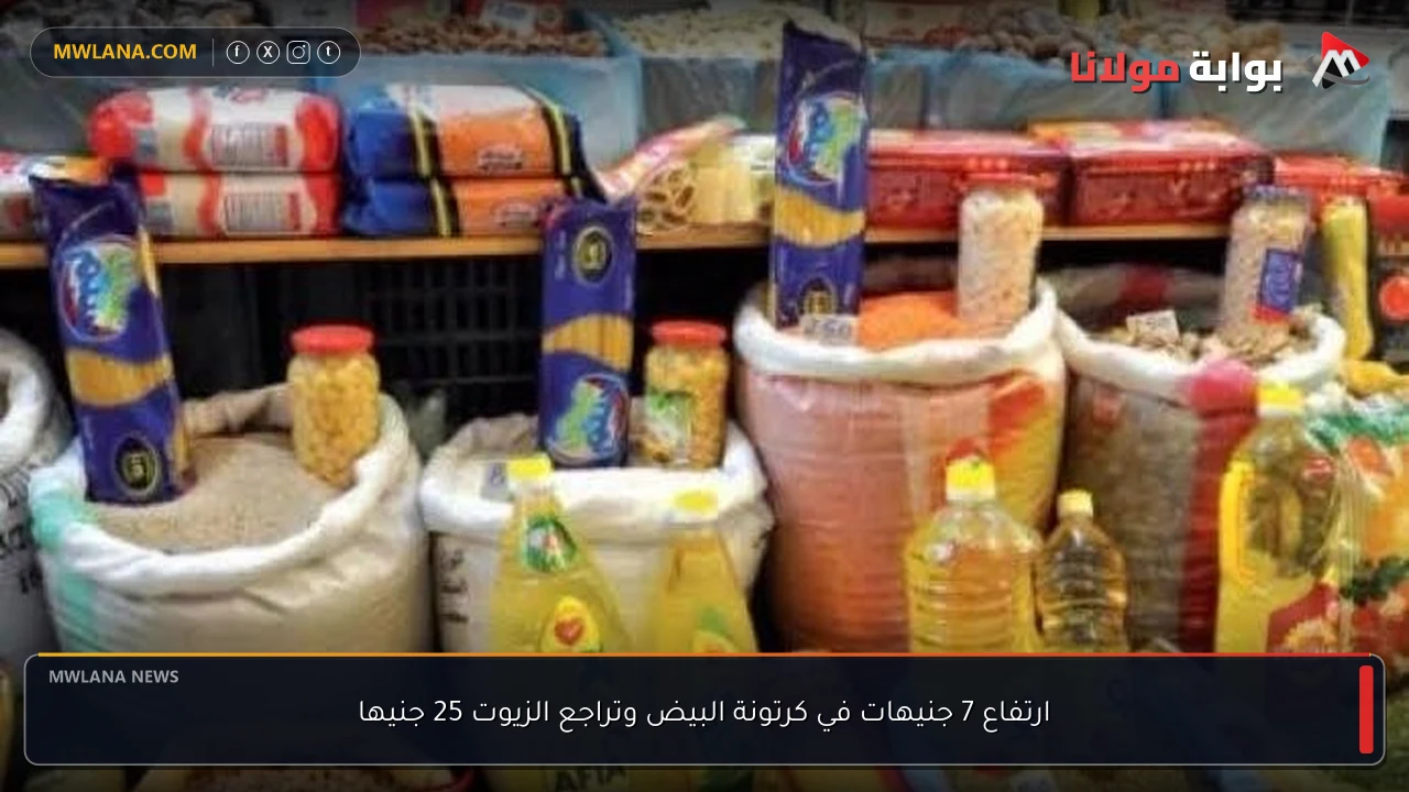 ارتفاع 7 جنيهات في كرتونة البيض وتراجع الزيوت 25 جنيها