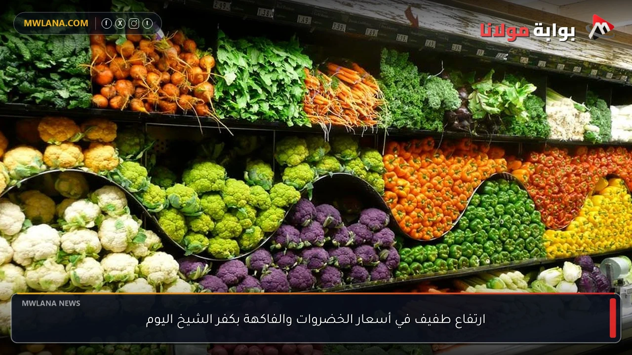ارتفاع طفيف في أسعار الخضروات والفاكهة بكفر الشيخ اليوم