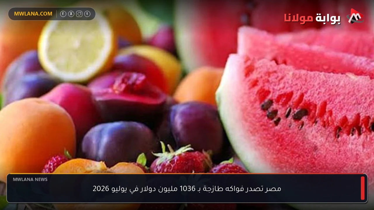 مصر تصدر فواكه طازجة بـ 1036 مليون دولار في يوليو 2026