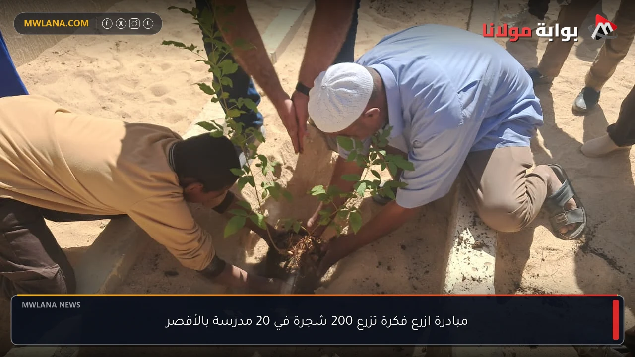 مبادرة ازرع فكرة تزرع 200 شجرة في 20 مدرسة بالأقصر