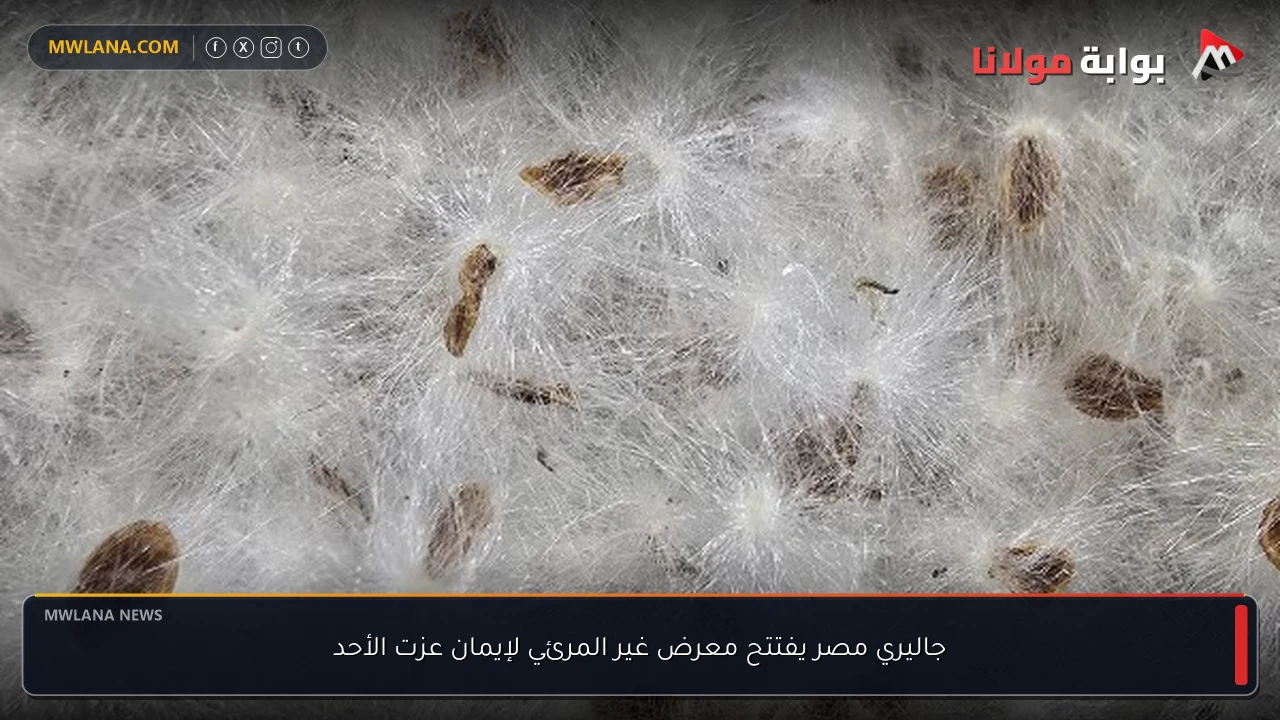 جاليري مصر يفتتح معرض غير المرئي لإيمان عزت الأحد