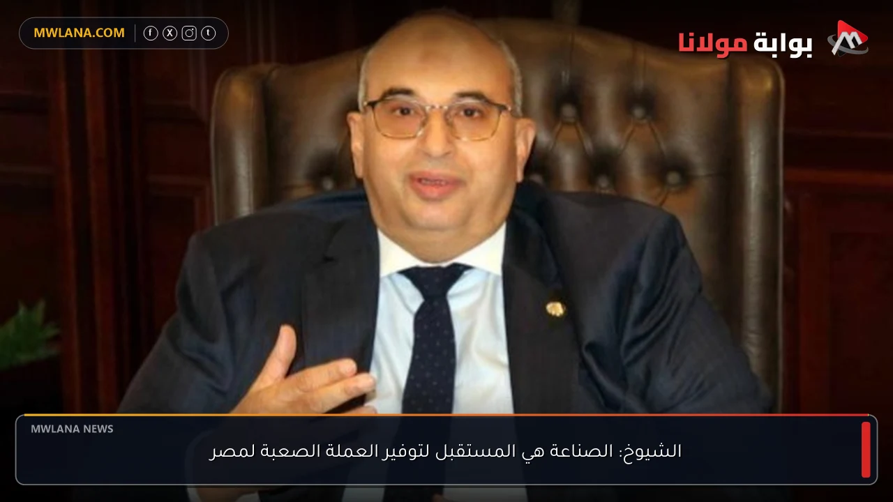 الشيوخ: الصناعة هي المستقبل لتوفير العملة الصعبة لمصر