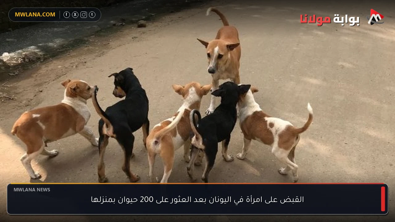 القبض على امرأة في اليونان بعد العثور على 200 حيوان بمنزلها