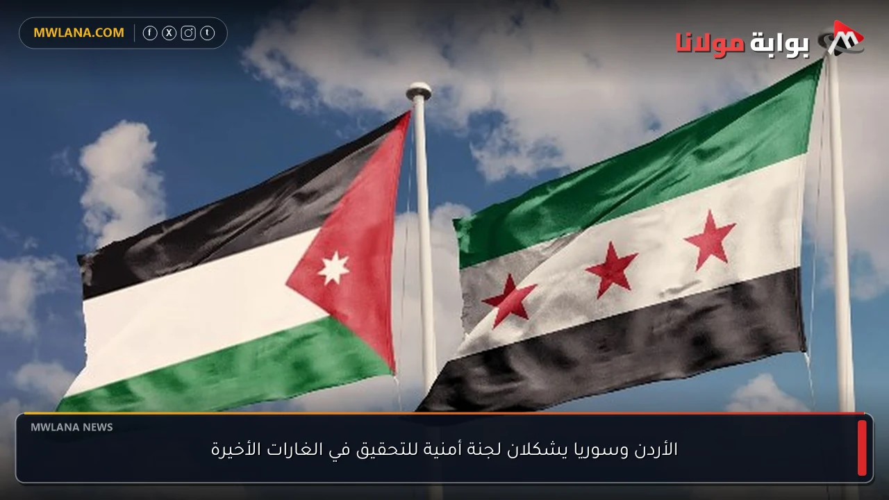 الأردن وسوريا يشكلان لجنة أمنية للتحقيق في الغارات الأخيرة