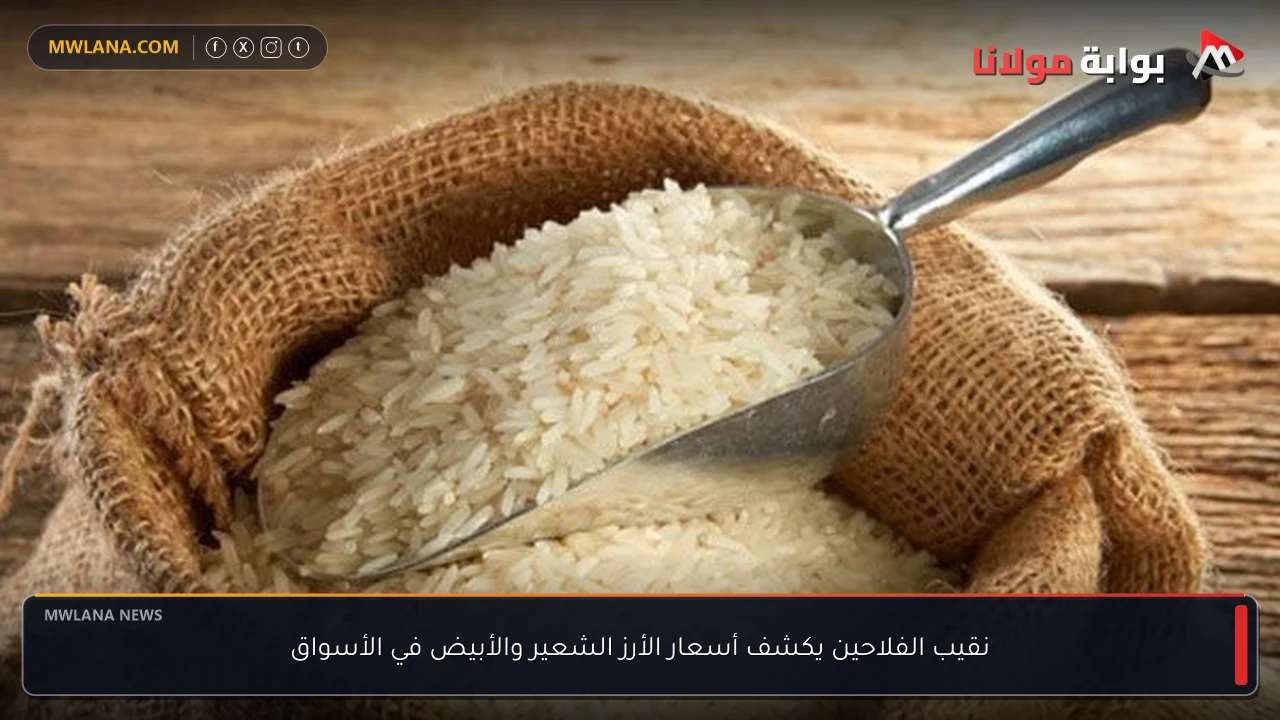 نقيب الفلاحين يكشف أسعار الأرز الشعير والأبيض في الأسواق