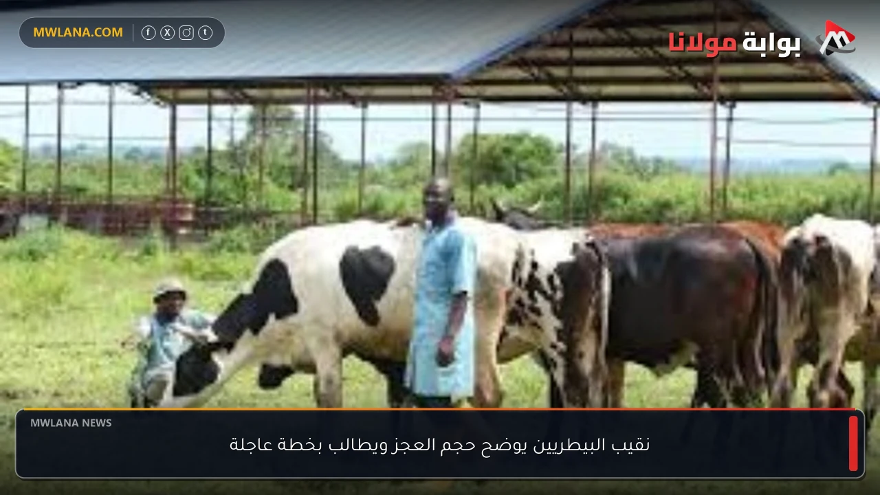 نقيب البيطريين يوضح حجم العجز ويطالب بخطة عاجلة