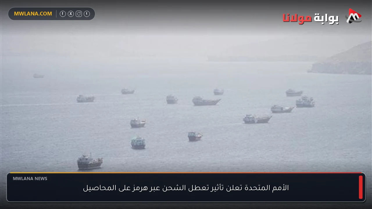 الأمم المتحدة تعلن تأثير تعطل الشحن عبر هرمز على المحاصيل