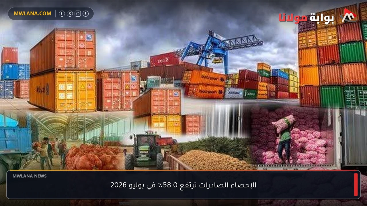 الإحصاء الصادرات ترتفع 0 58٪ في يوليو 2026