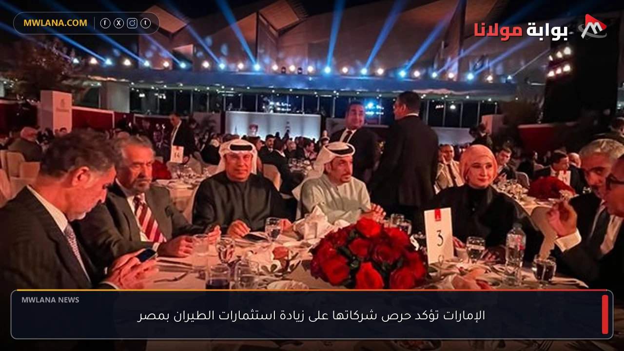 الإمارات تؤكد حرص شركاتها على زيادة استثمارات الطيران بمصر