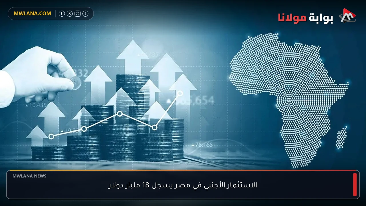 الاستثمار الأجنبي في مصر يسجل 18 مليار دولار
