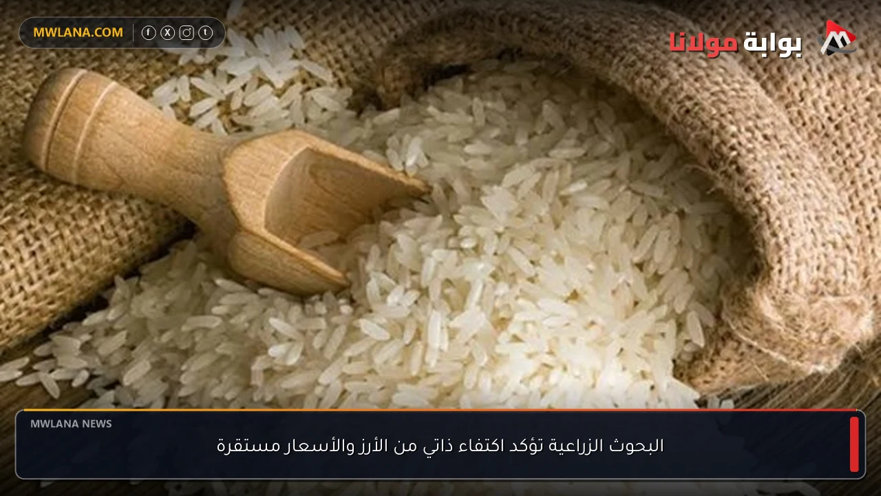 البحوث الزراعية تؤكد اكتفاء ذاتي من الأرز والأسعار مستقرة