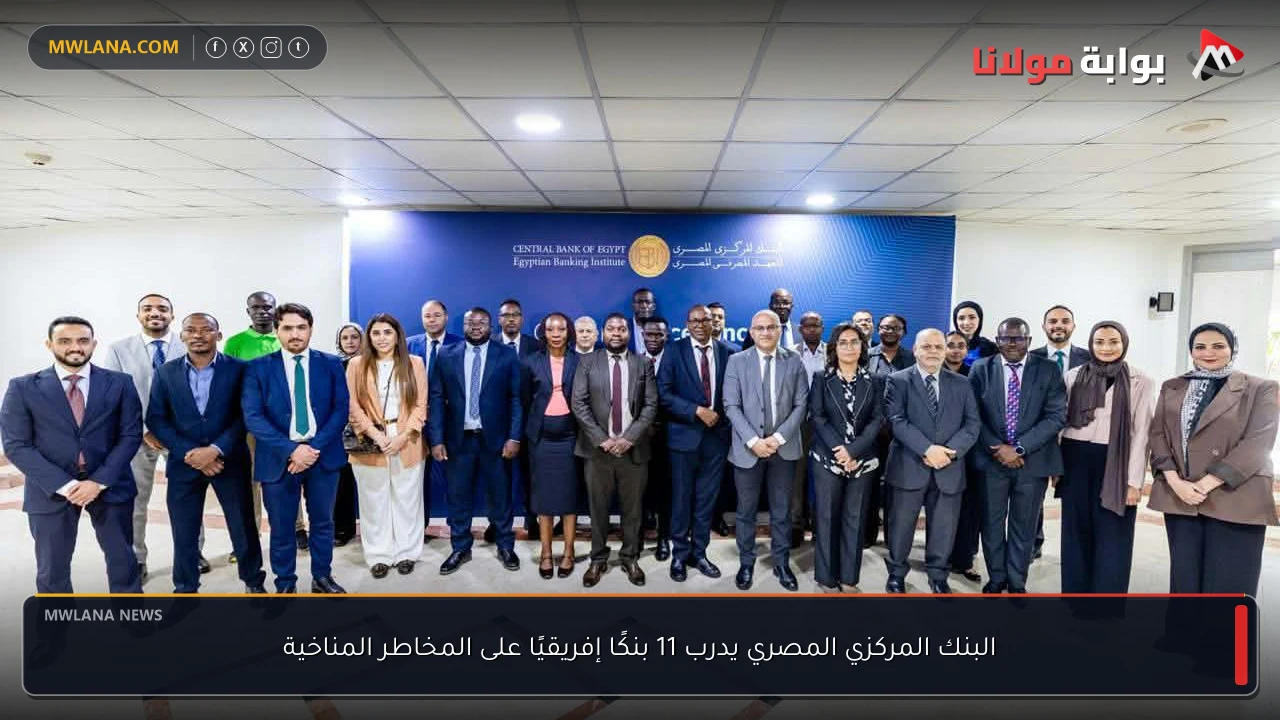 البنك المركزي المصري يدرب 11 بنكًا إفريقيًا على المخاطر المناخية