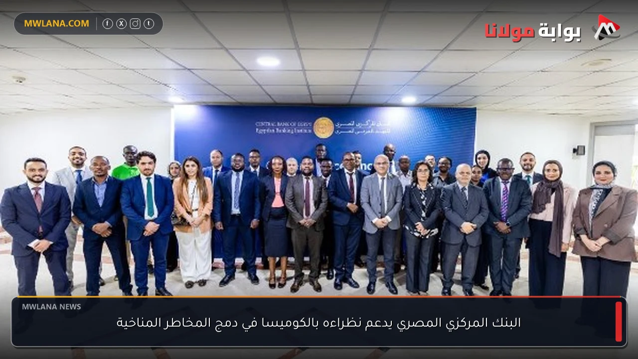 البنك المركزي المصري يدعم نظراءه بالكوميسا في دمج المخاطر المناخية
