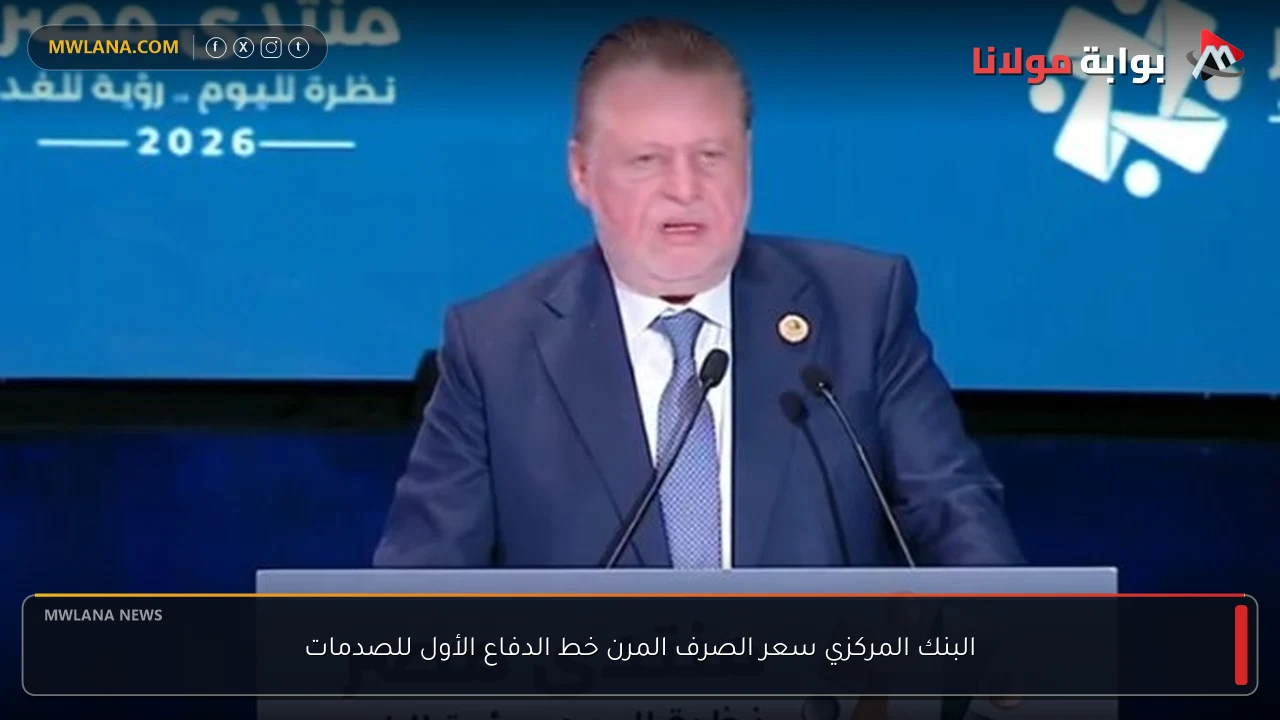 البنك المركزي سعر الصرف المرن خط الدفاع الأول للصدمات