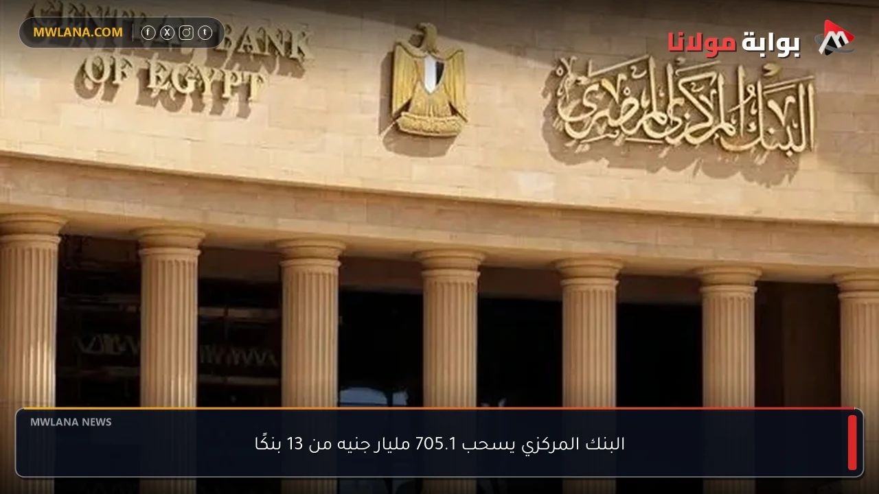 البنك المركزي يسحب 705.1 مليار جنيه من 13 بنكًا