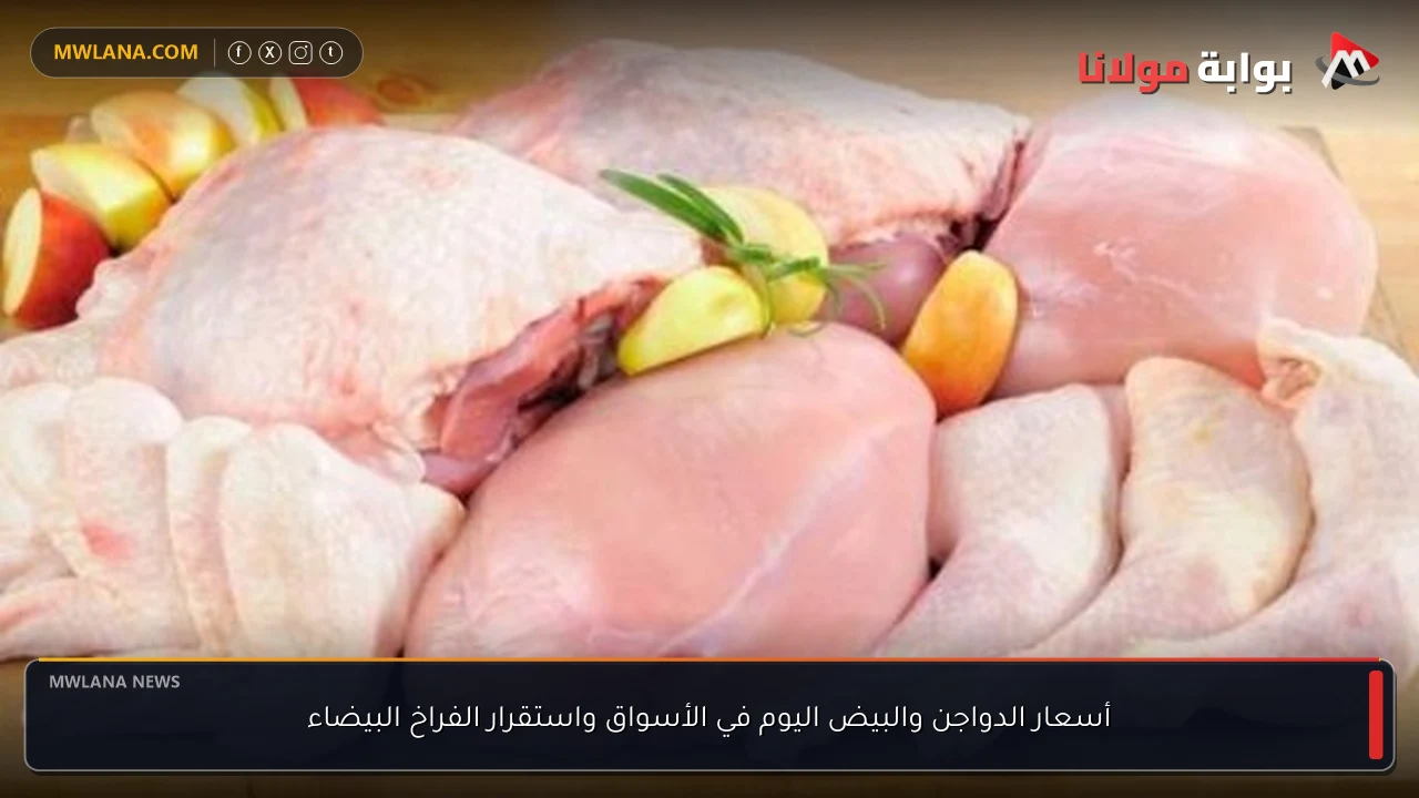 أسعار الدواجن والبيض اليوم في الأسواق واستقرار الفراخ البيضاء