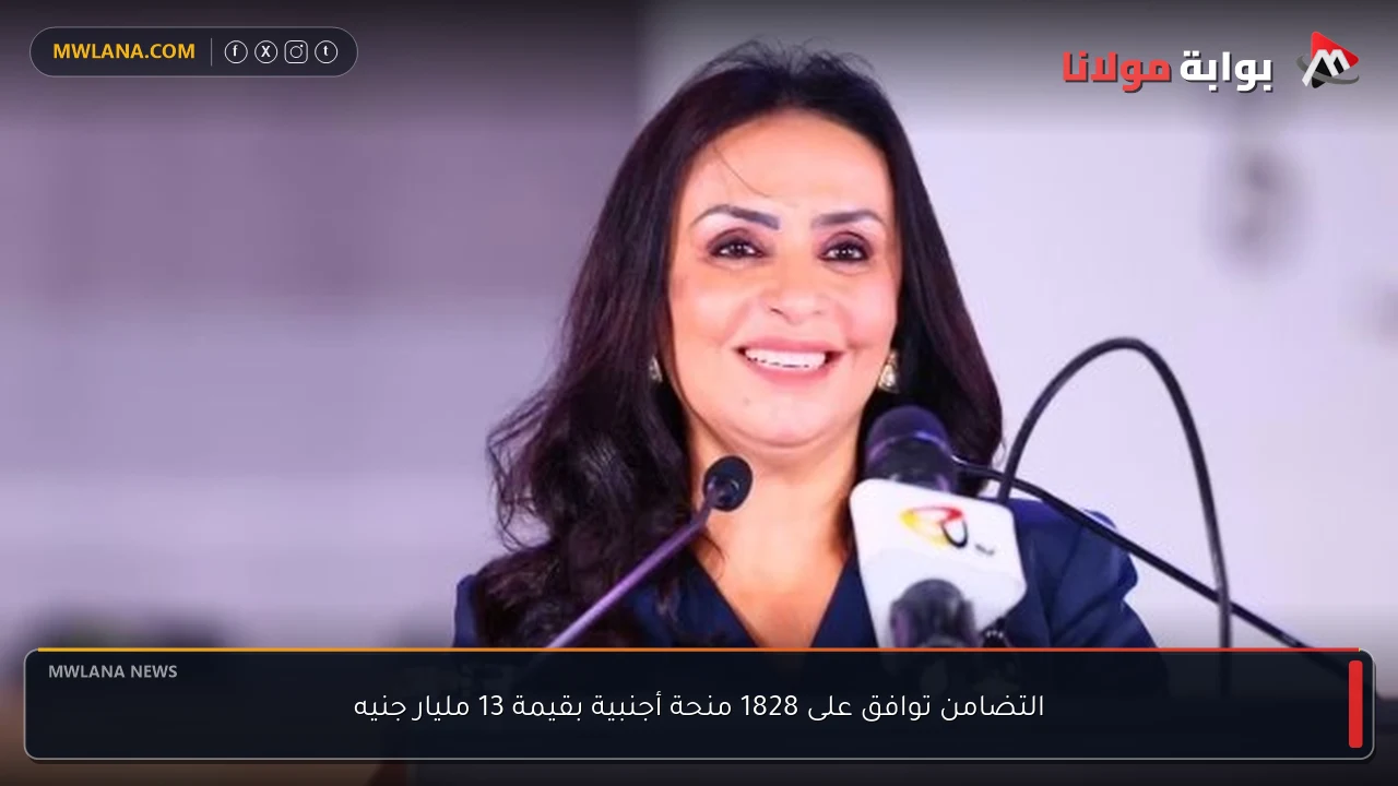 التضامن توافق على 1828 منحة أجنبية بقيمة 13 مليار جنيه