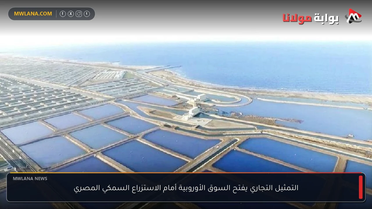 التمثيل التجاري يفتح السوق الأوروبية أمام الاستزراع السمكي المصري
