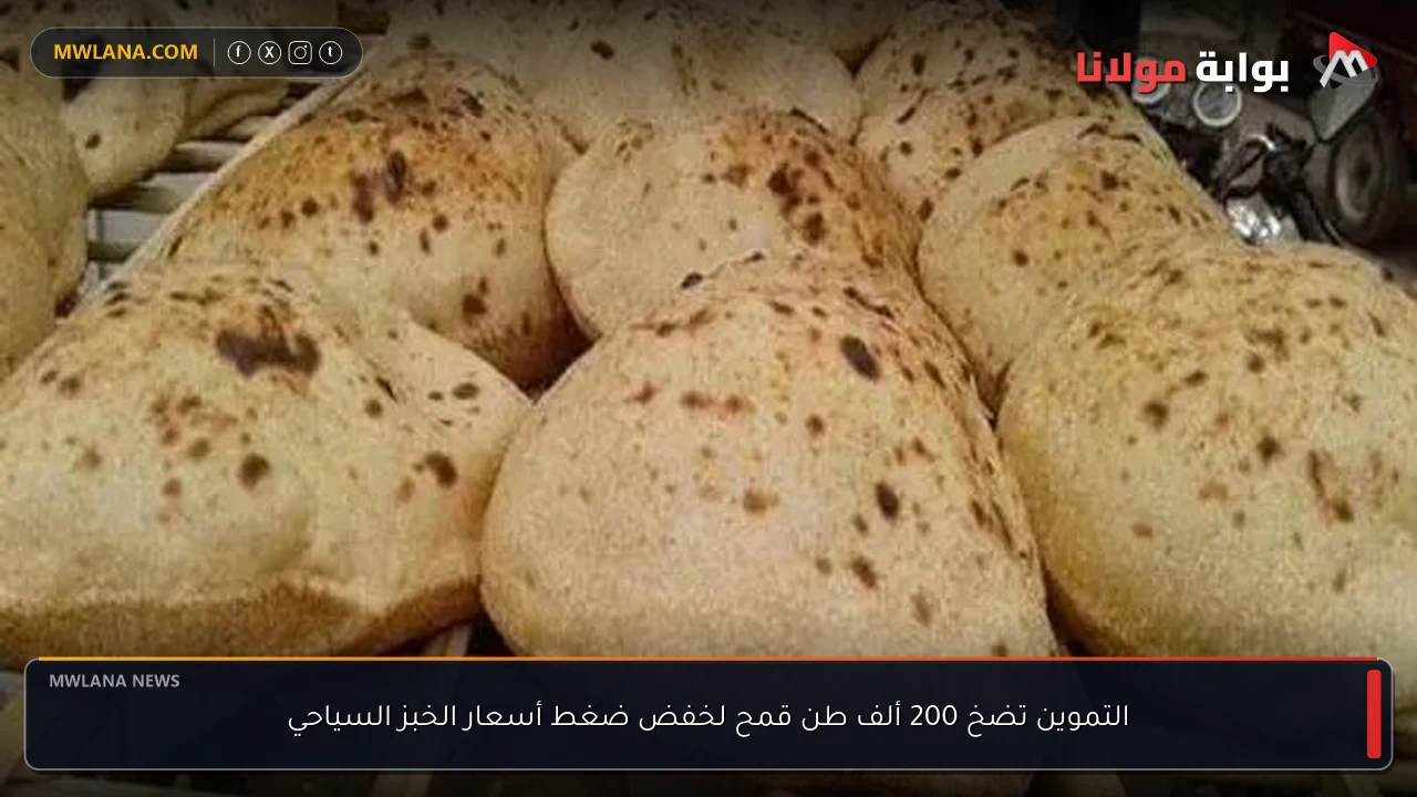 التموين تضخ 200 ألف طن قمح لخفض ضغط أسعار الخبز السياحي