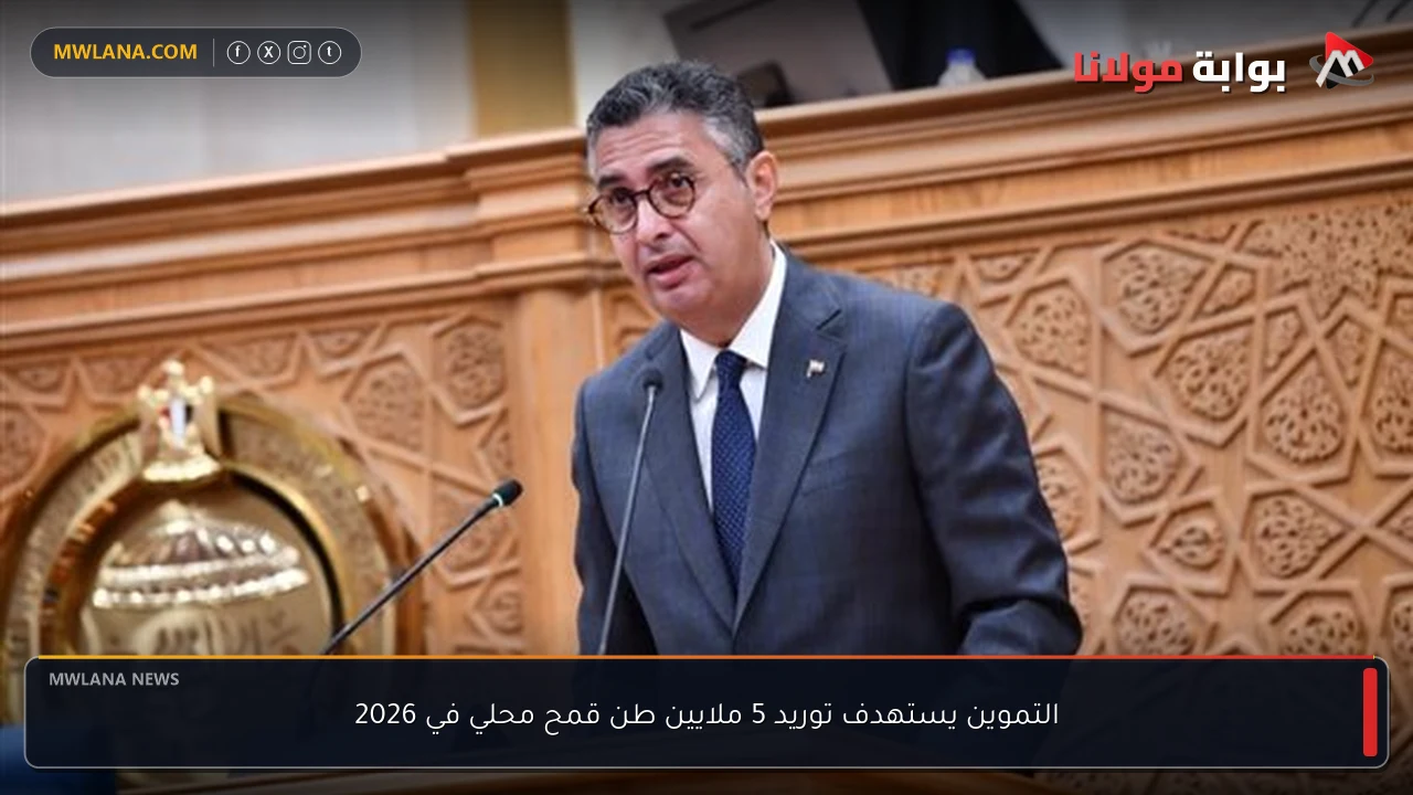التموين يستهدف توريد 5 ملايين طن قمح محلي في 2026