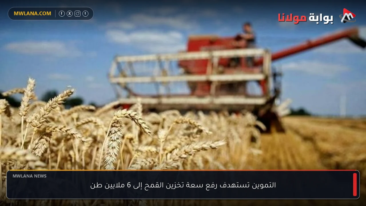 التموين تستهدف رفع سعة تخزين القمح إلى 6 ملايين طن