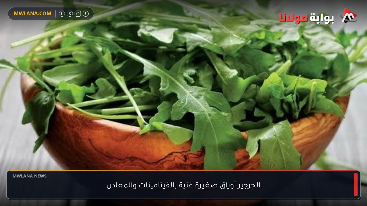 الجرجير أوراق صغيرة غنية بالفيتامينات والمعادن