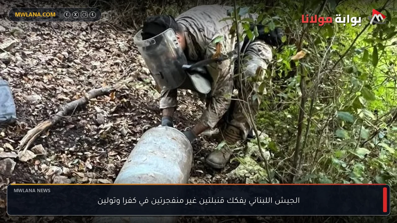 الجيش اللبناني يفكك قنبلتين غير منفجرتين في كفرا وتولين