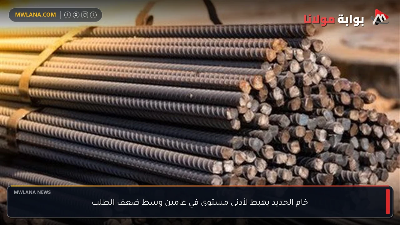 خام الحديد يهبط لأدنى مستوى في عامين وسط ضعف الطلب