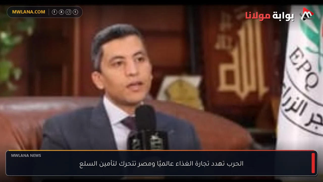 الحرب تهدد تجارة الغذاء عالميًا ومصر تتحرك لتأمين السلع