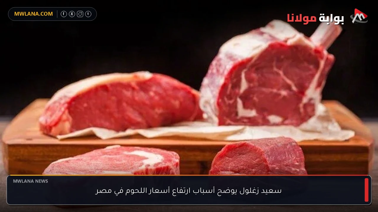 سعيد زغلول يوضح أسباب ارتفاع أسعار اللحوم في مصر