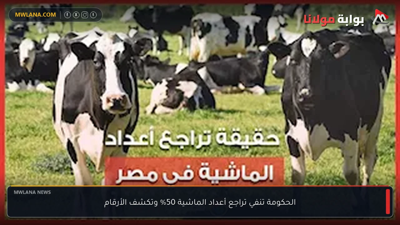 الحكومة تنفي تراجع أعداد الماشية 50% وتكشف الأرقام