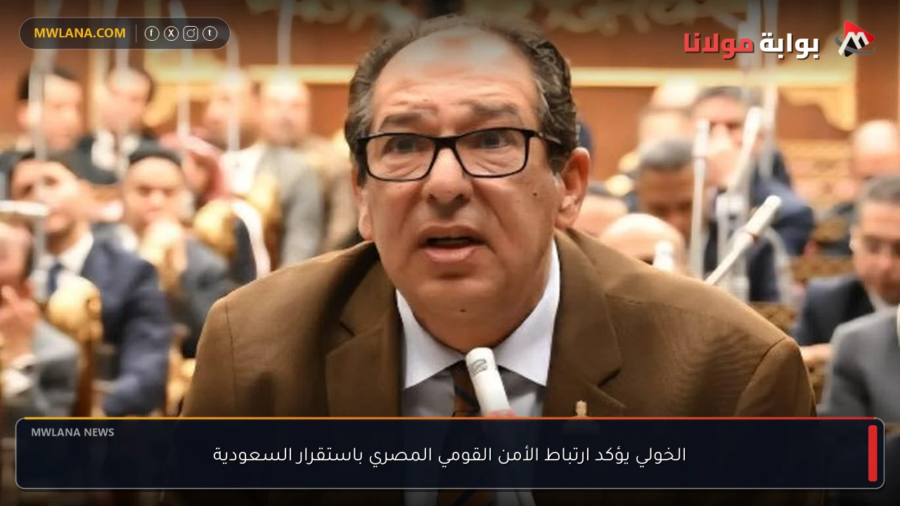 الخولي يؤكد ارتباط الأمن القومي المصري باستقرار السعودية