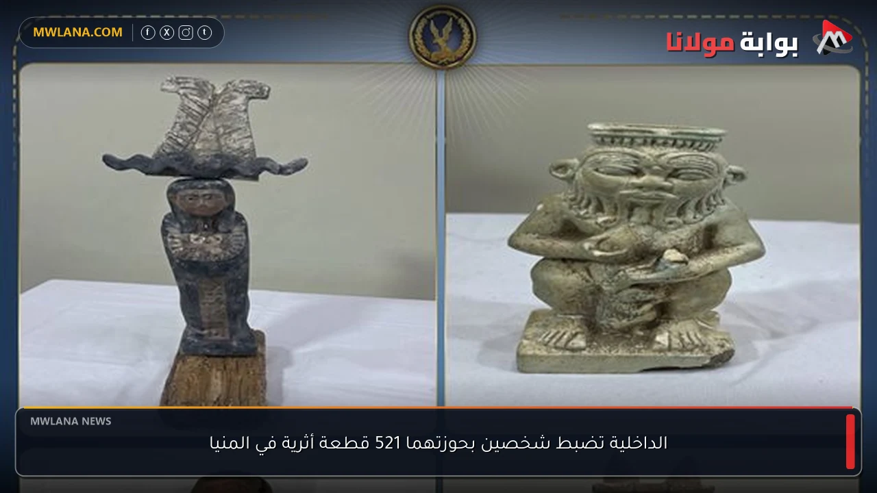 الداخلية تضبط شخصين بحوزتهما 521 قطعة أثرية في المنيا
