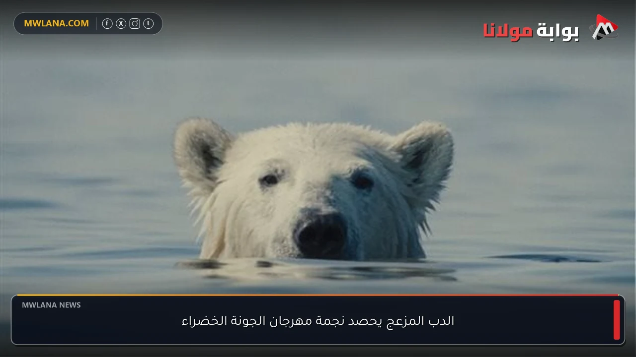 الدب المزعج يحصد نجمة مهرجان الجونة الخضراء