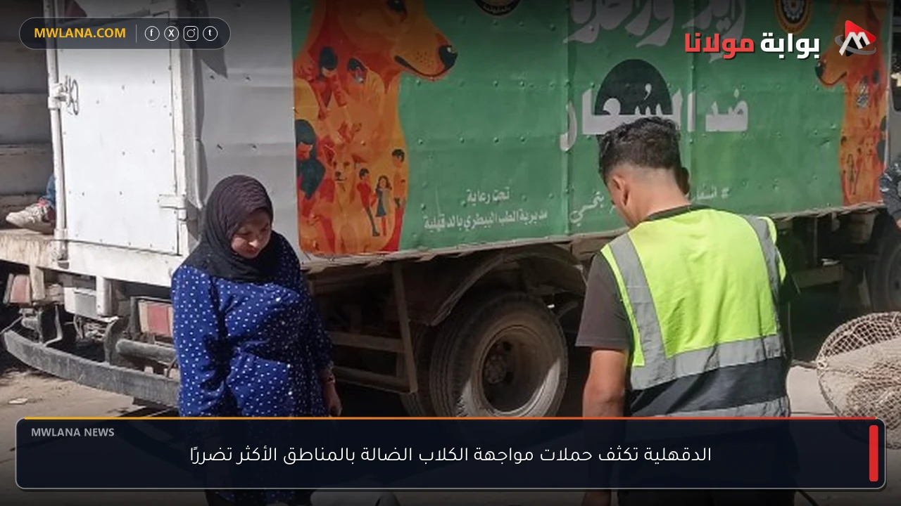الدقهلية تكثف حملات مواجهة الكلاب الضالة بالمناطق الأكثر تضررًا