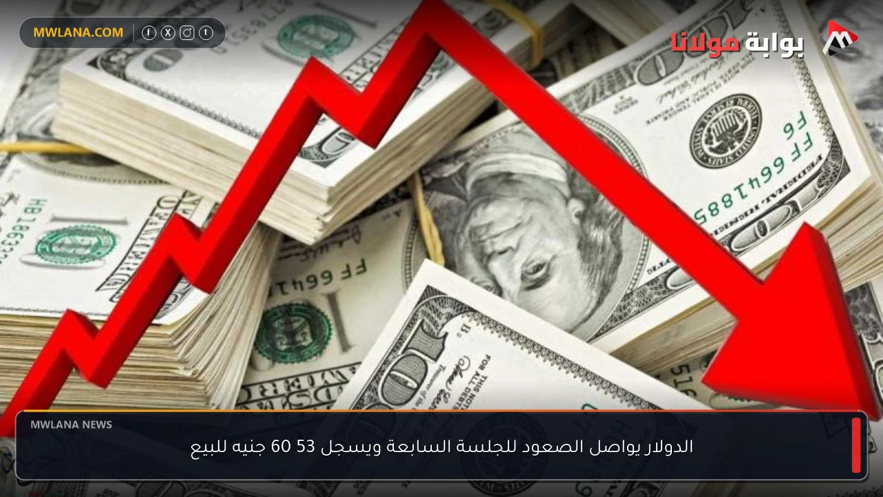 الدولار يواصل الصعود للجلسة السابعة ويسجل 53 60 جنيه للبيع