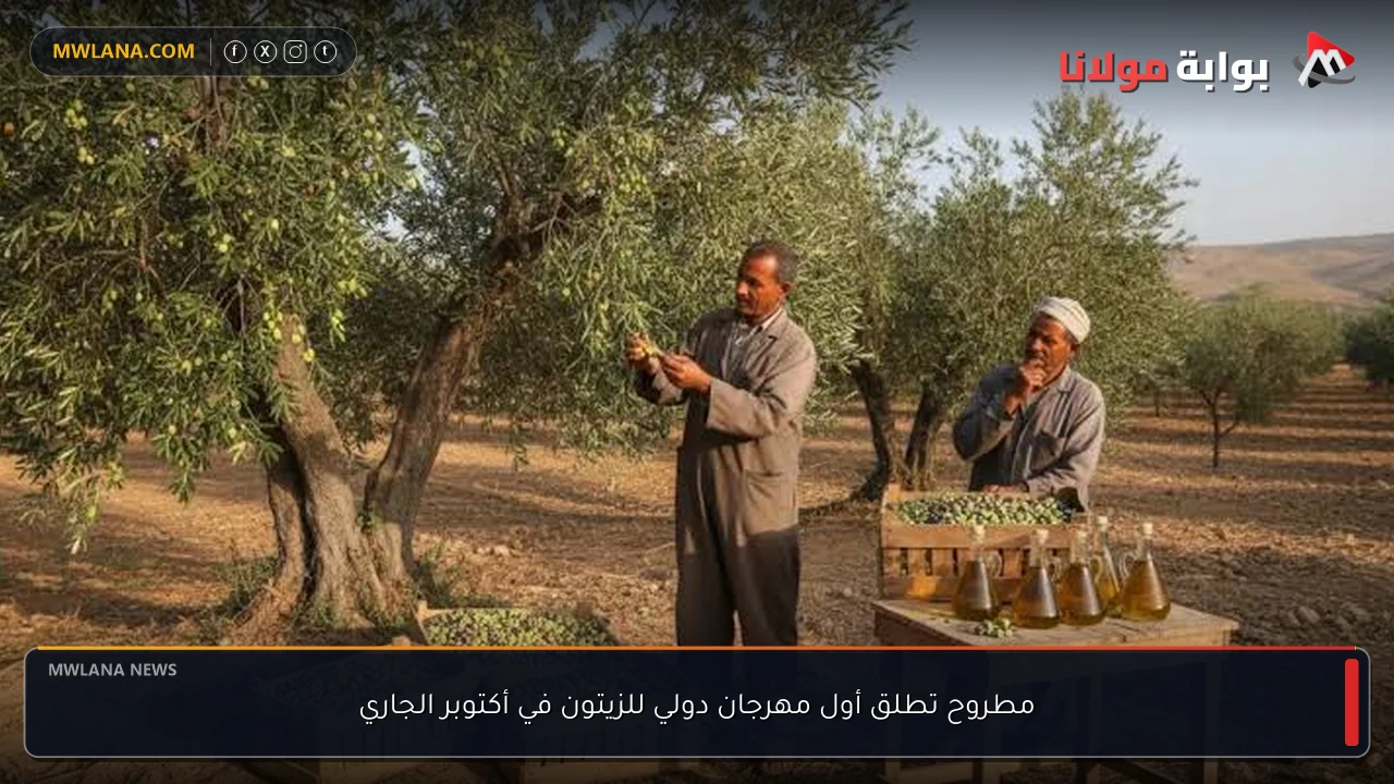 مطروح تطلق أول مهرجان دولي للزيتون في أكتوبر الجاري
