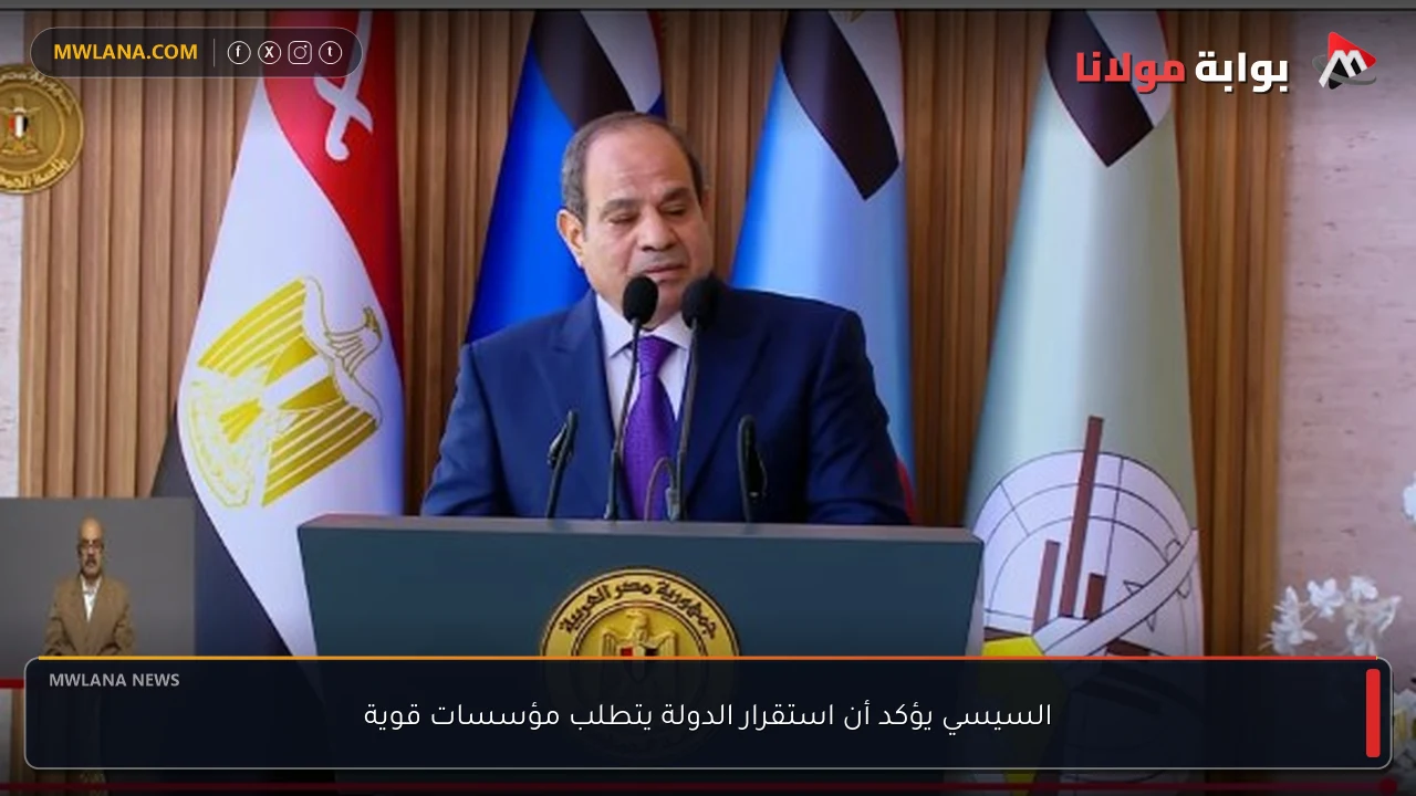 السيسي يؤكد أن استقرار الدولة يتطلب مؤسسات قوية
