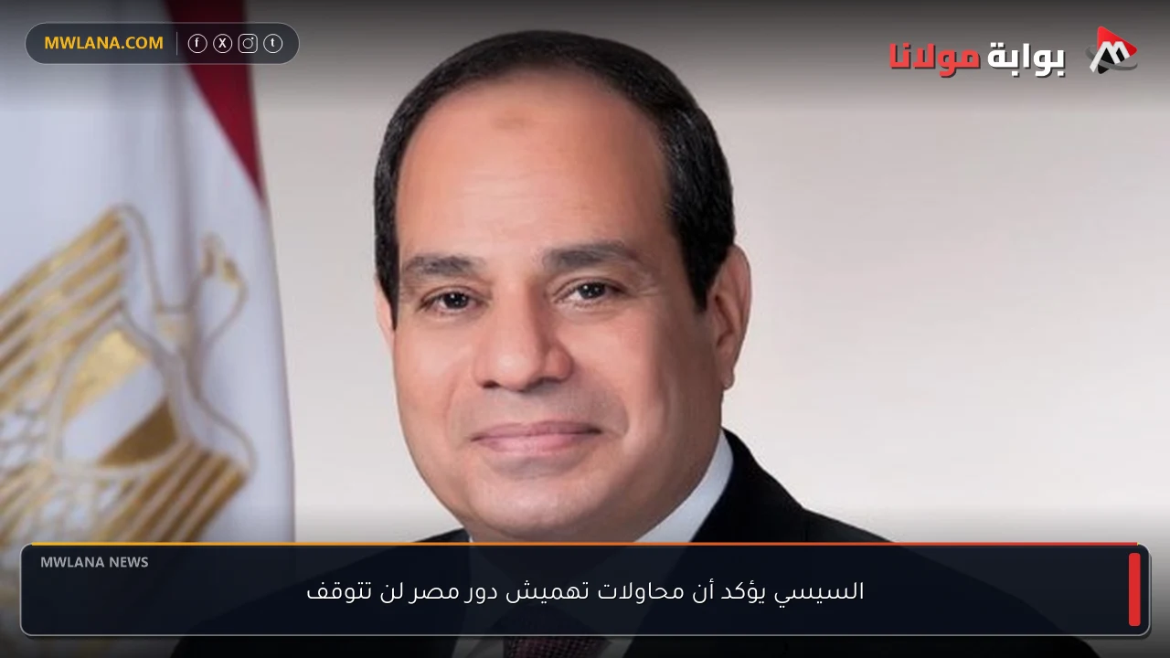 السيسي يؤكد أن محاولات تهميش دور مصر لن تتوقف