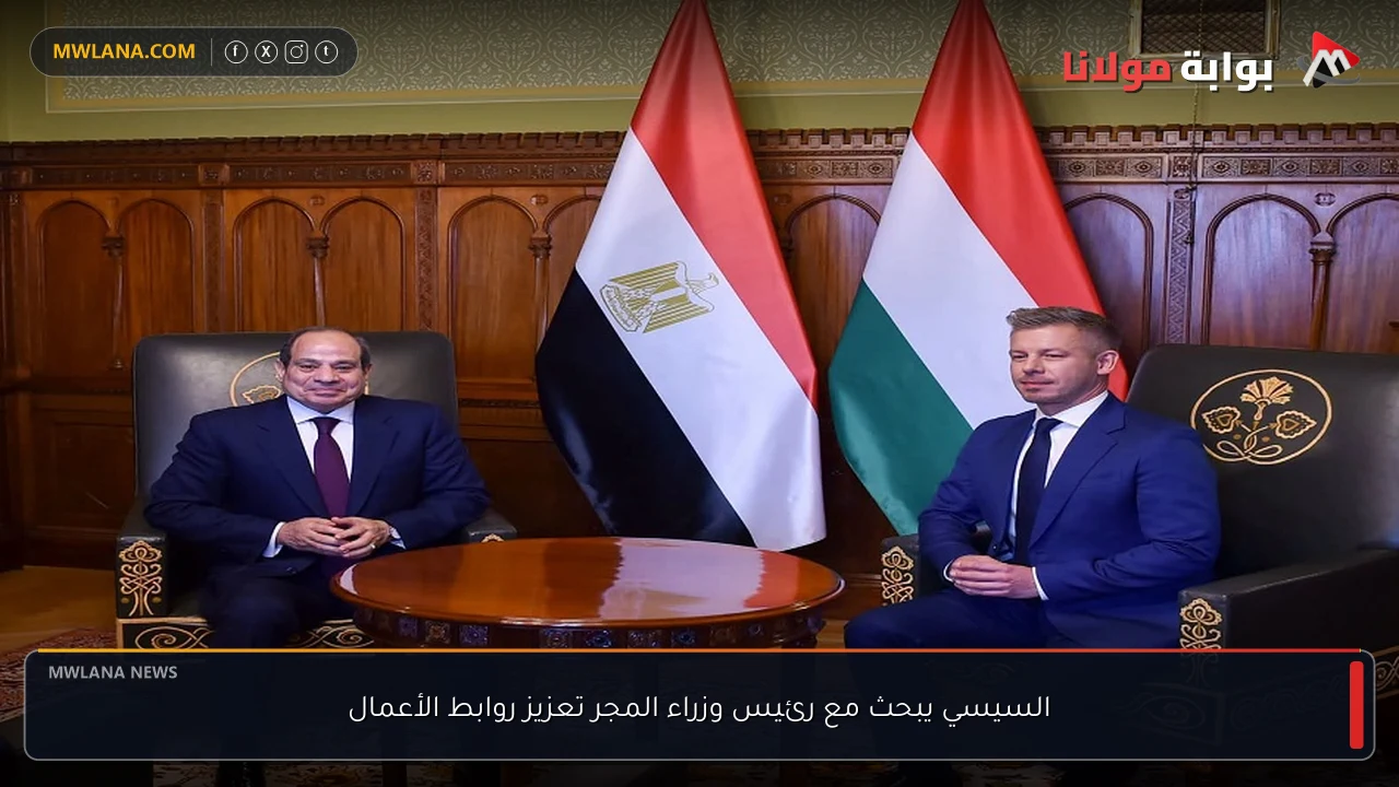 السيسي يبحث مع رئيس وزراء المجر تعزيز روابط الأعمال