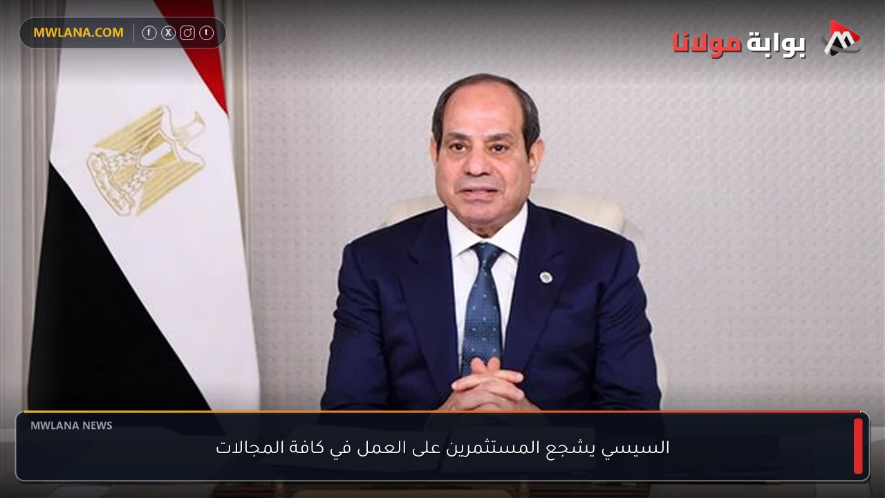 السيسي يشجع المستثمرين على العمل في كافة المجالات