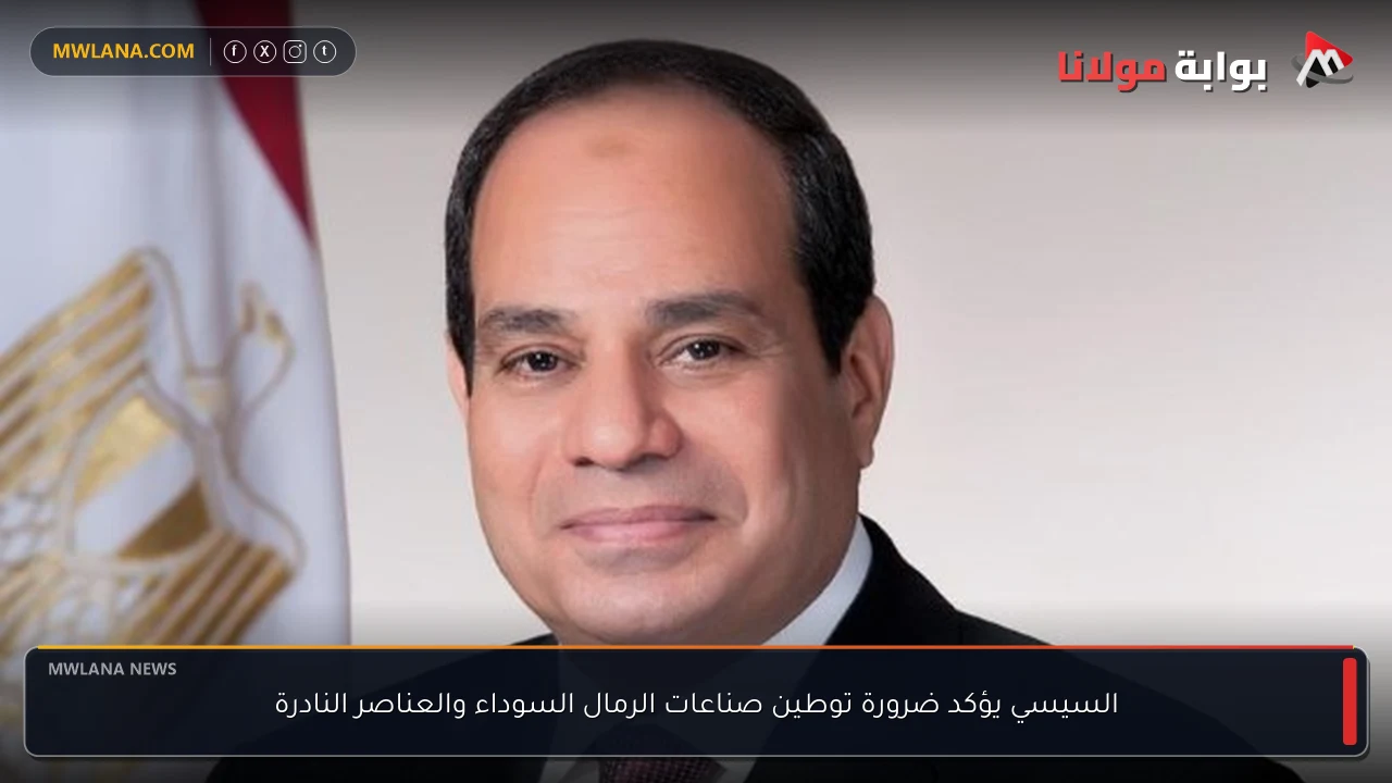 السيسي يؤكد ضرورة توطين صناعات الرمال السوداء والعناصر النادرة