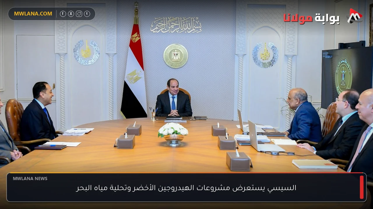 السيسي يستعرض مشروعات الهيدروجين الأخضر وتحلية مياه البحر