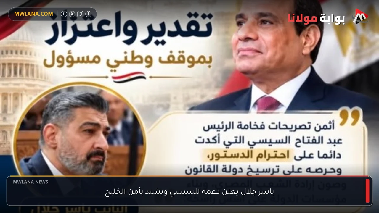 ياسر جلال يعلن دعمه للسيسي ويشيد بأمن الخليج