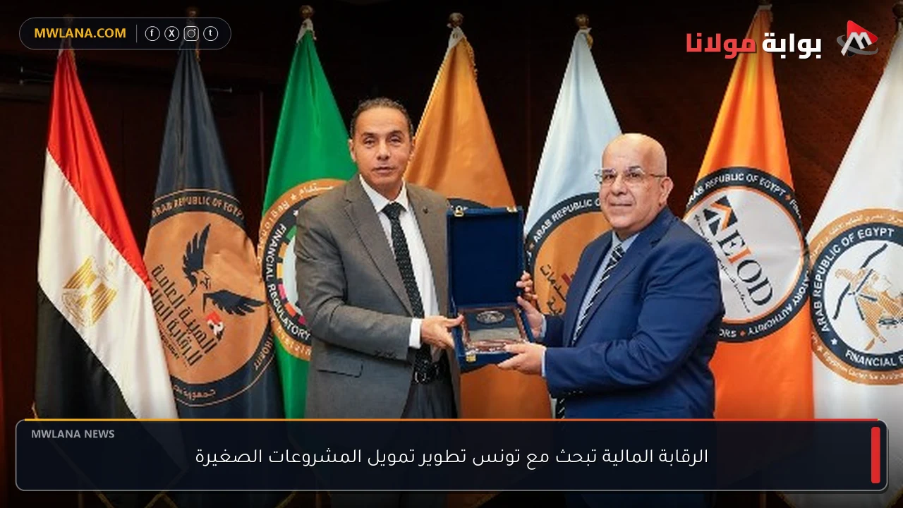 الرقابة المالية تبحث مع تونس تطوير تمويل المشروعات الصغيرة