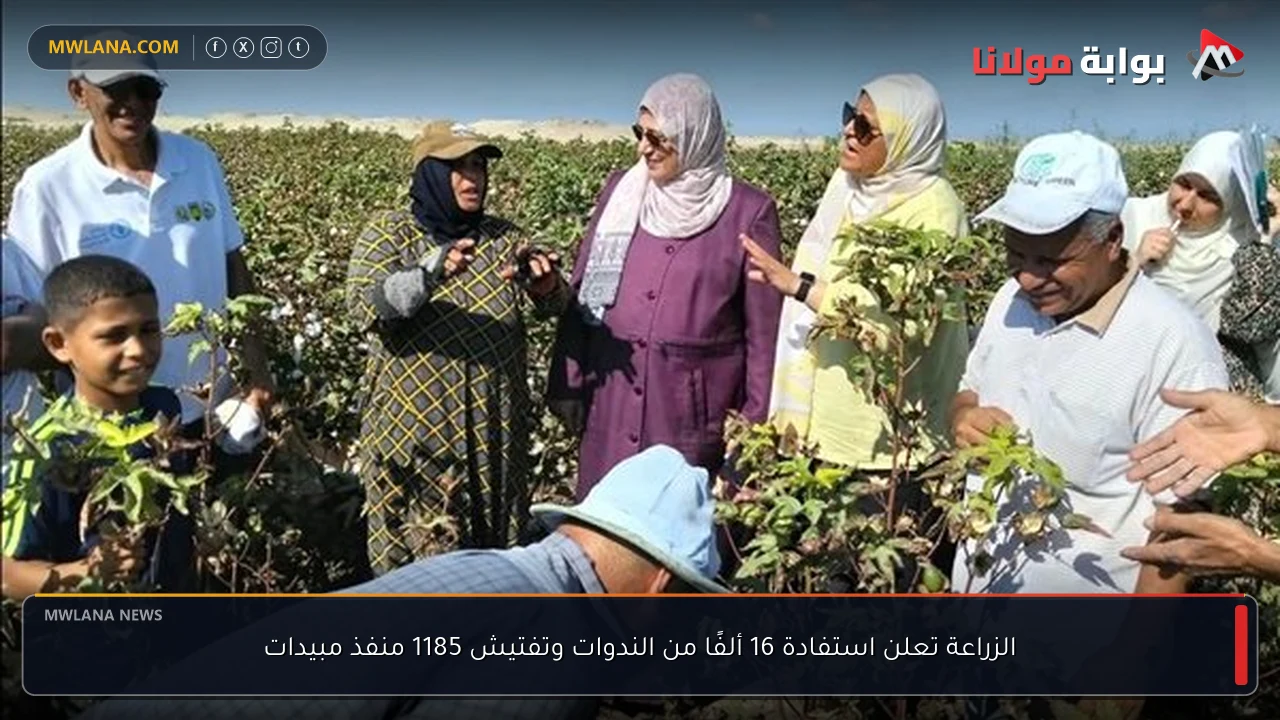 الزراعة تعلن استفادة 16 ألفًا من الندوات وتفتيش 1185 منفذ مبيدات