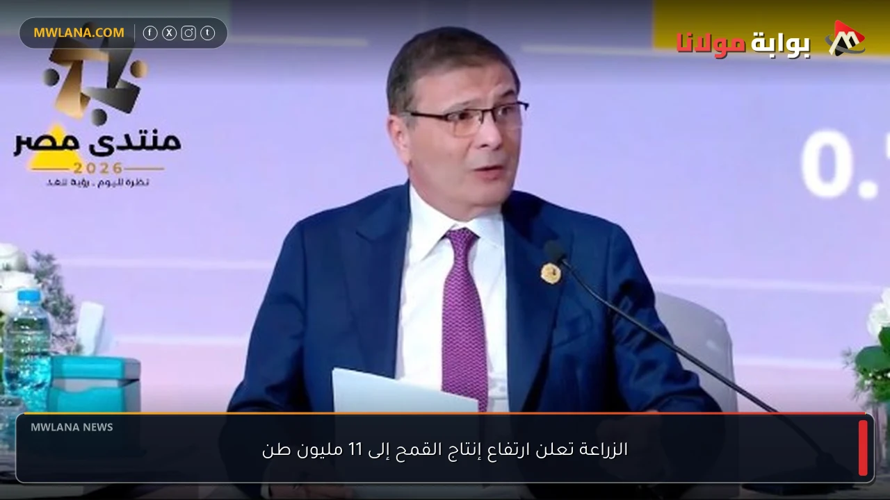 الزراعة تعلن ارتفاع إنتاج القمح إلى 11 مليون طن