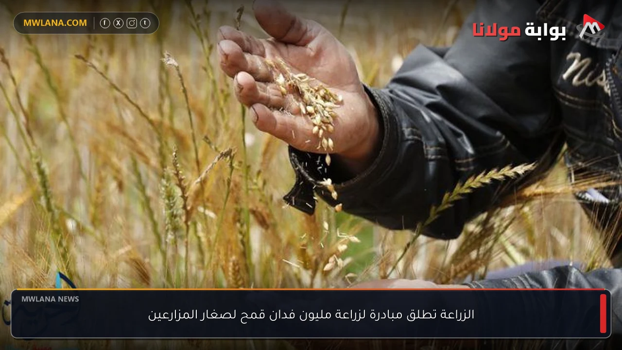 الزراعة تطلق مبادرة لزراعة مليون فدان قمح لصغار المزارعين