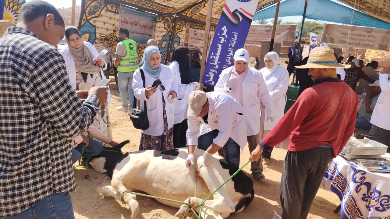  الزراعة  تنشر تقريرًا بأنشطة وجهود معامل ومعاهد  البحوث الزراعية 